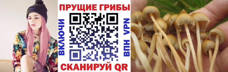 Галлюциногенные грибы Magic Shrooms  Купить закладки  Североуральск 